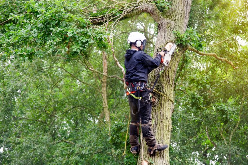 Arborist Using Safety Gear